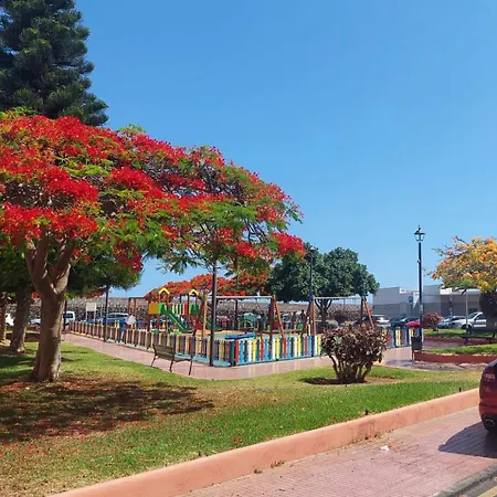 Apartamento ático Dio Vista Tipo Con Terraza Soleada