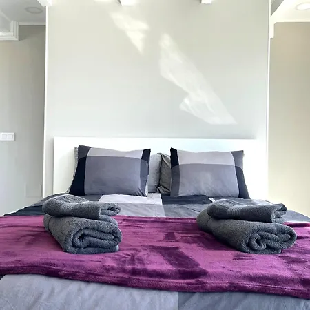 ático Dio Vista Tipo Con Terraza Soleada